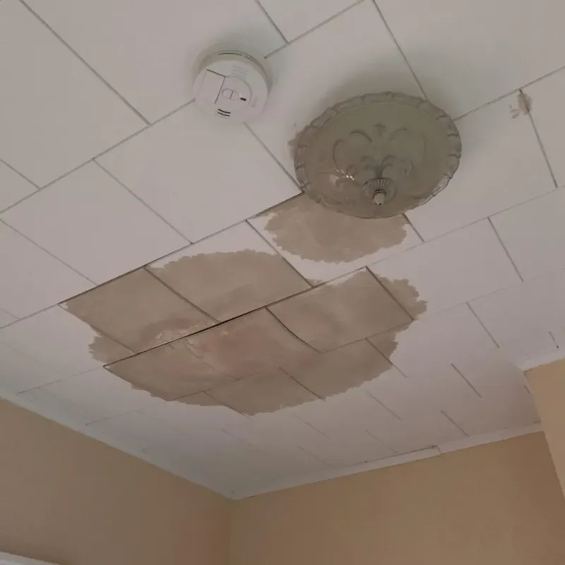 Ceiling Water Damage Repair in Front Royal, VA