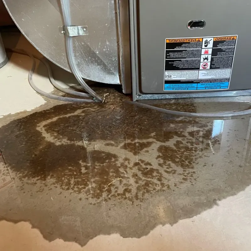 Pipe Burst and Leak Restoration in Front Royal, VA