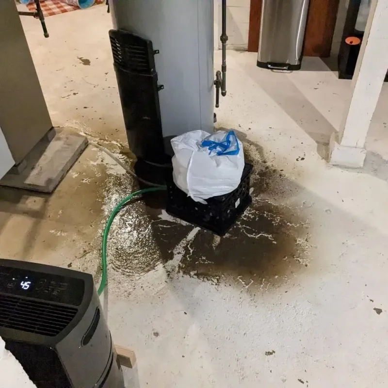 Sewage Backup Cleanup Service in Front Royal, VA